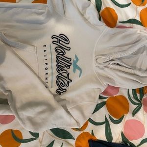 hollister icon sweatshirt